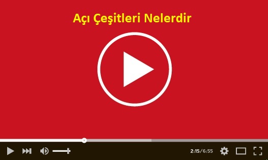 Açı Çeşitleri Nelerdir