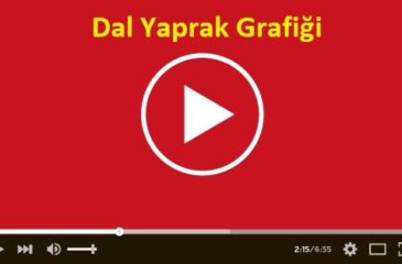 Dal Yaprak Grafiği