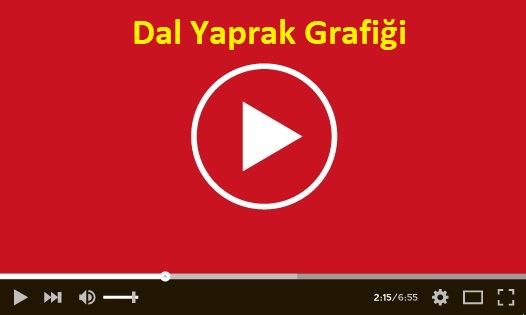 Dal Yaprak Grafiği