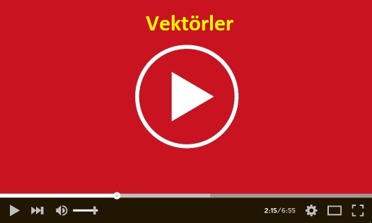 Vektörler