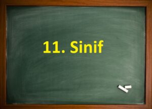 11. Sinif Matematik