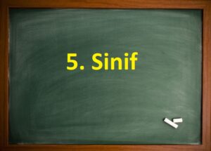 5. Sinif Matematik