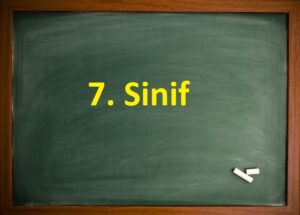 7. Sinif Matematik