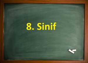 8. Sinif Matematik