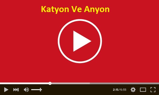 Katyon Ve Anyon